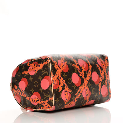 Louis Vuitton Monogram Ramages Speedy 30 Grenade 4 of 7