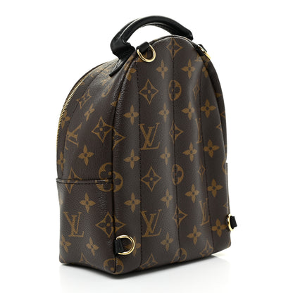 Louis Vuitton Monogram Palm Springs Backpack Mini 3 of 12