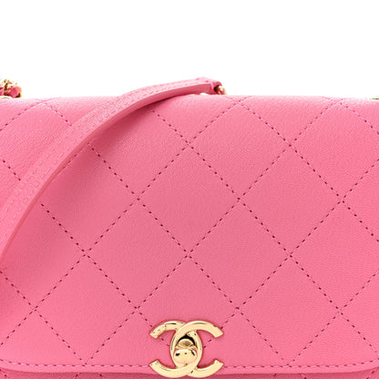 Chanel Goatskin Stitched Casual Trip Single Flap Pink 8 of 13