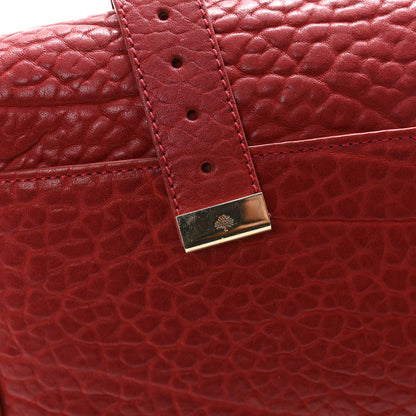 Mulberry Shrunken Calfskin Medium Alexa Red 2 of 16