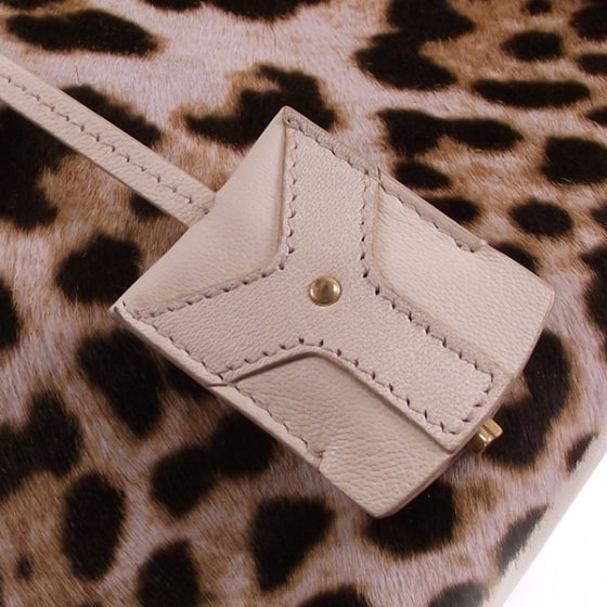 Snow Leopard Small Muse