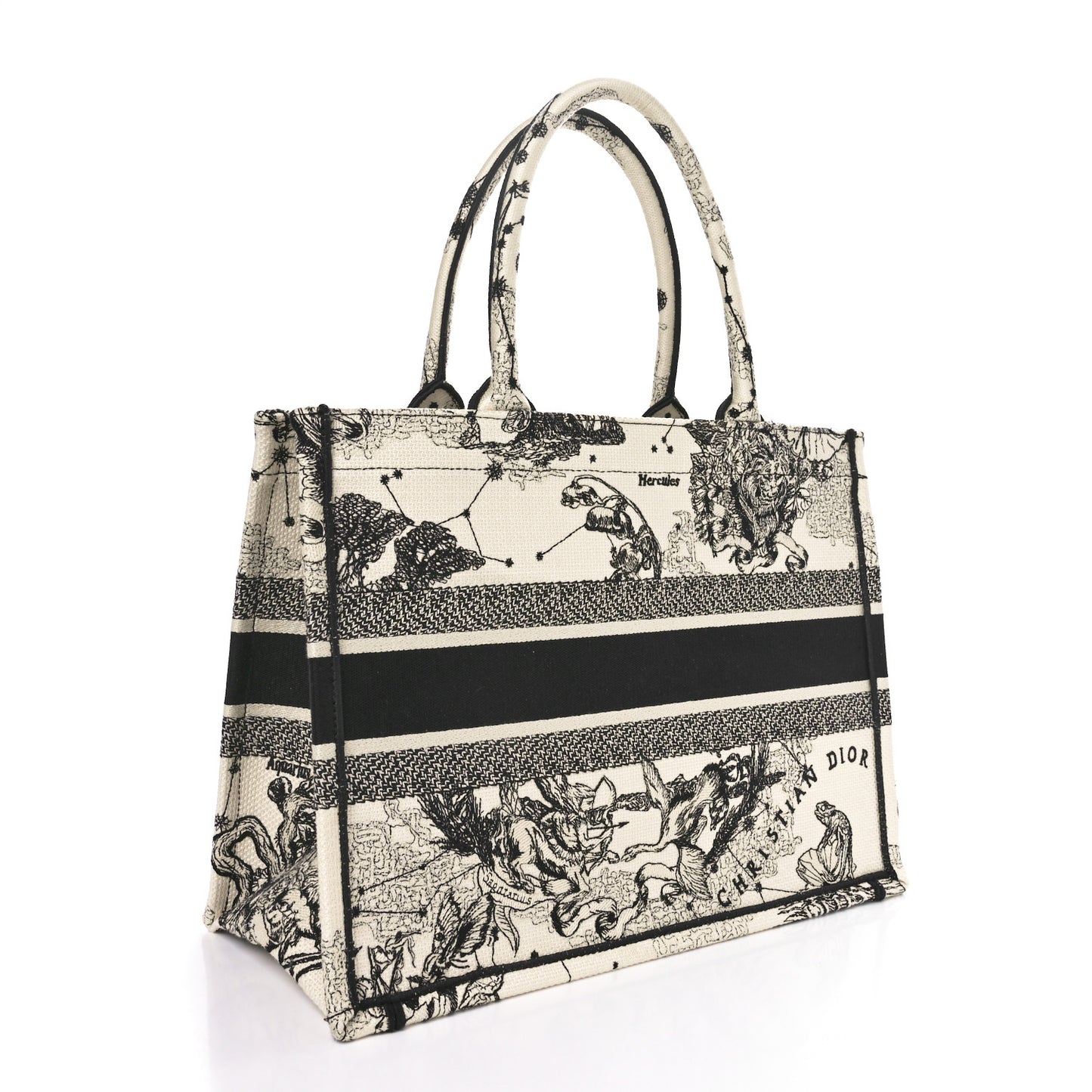 Canvas Zodiac Toile De Jouy Embroidered Medium Book Tote Latte