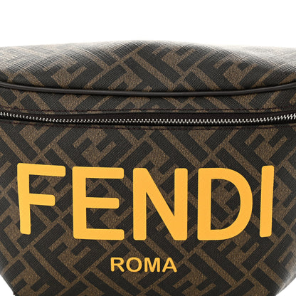 Fendi Shiny Glazed Fabric Vitello Cover FF 1974 Logo Belt Bag Tobacco Moro Giallo Ebano 7 of 9
