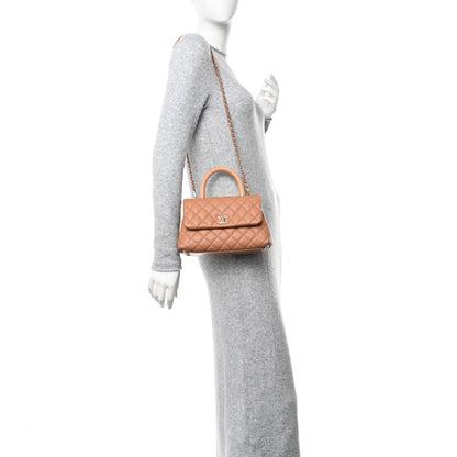 Chanel Caviar Quilted Lizard Embossed Mini Coco Handle Flap Brown 2 of 11