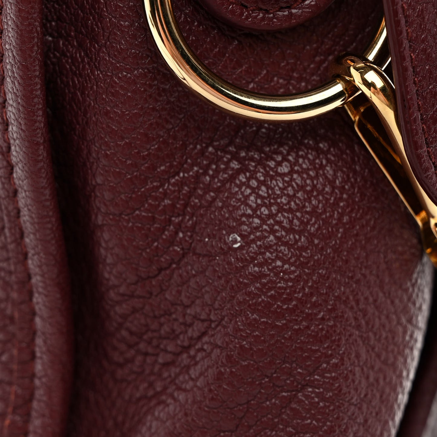 Chevre Gold Metallic Edge Hardware City Cassis