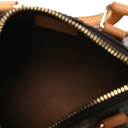 Louis Vuitton Monogram Nano Speedy Bandouliere 5 of 10