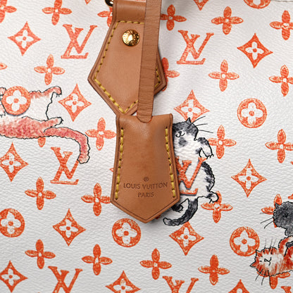 Louis Vuitton Catogram Speedy Bandouliere 30 13 of 17