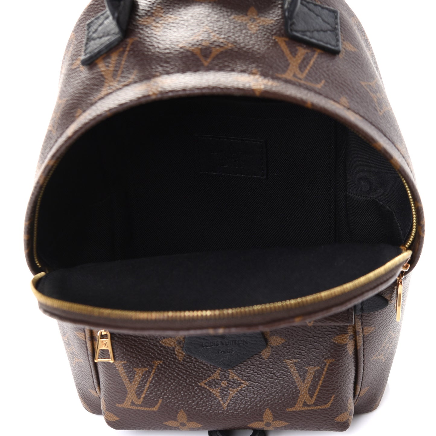 Monogram Palm Springs Backpack Mini