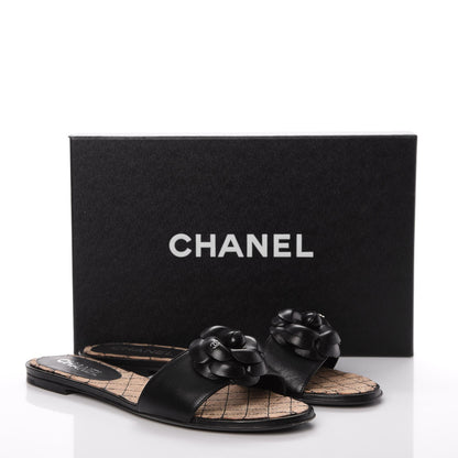 Chanel Calfskin Cork Camellia Sandals 40 Black 15 of 15