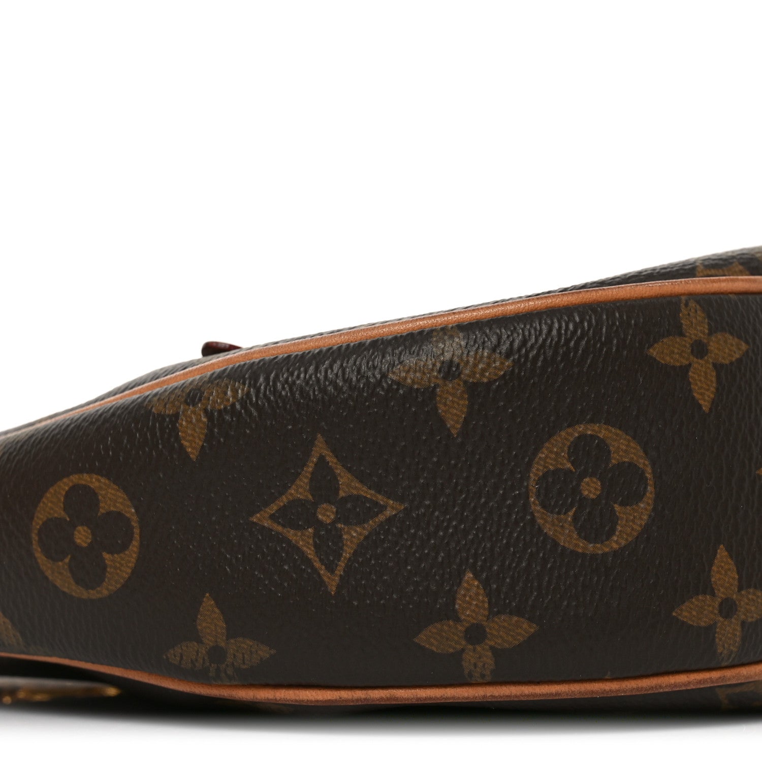 Louis Vuitton Monogram Loop 8 of 11