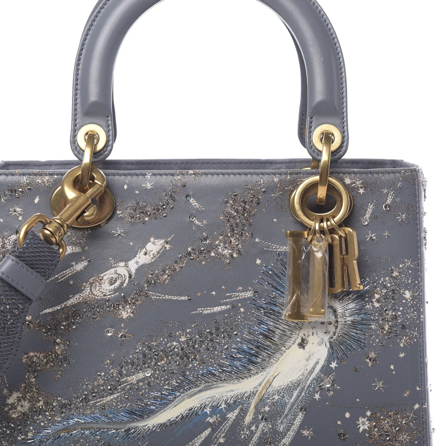 Smooth Calfskin Embroidered I Feel Blue Medium Lady Dior