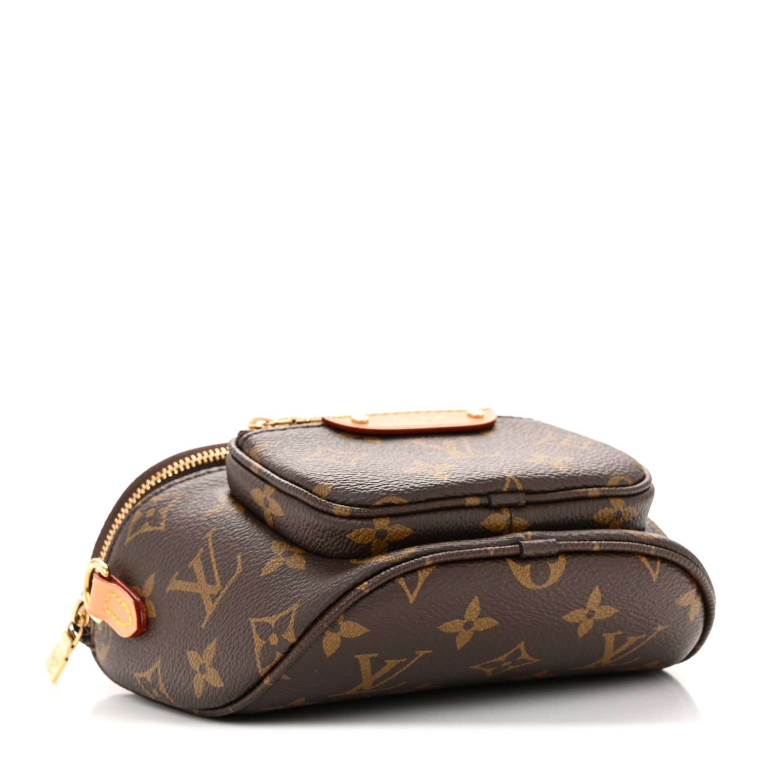 Louis Vuitton Monogram Mini Bumbag 4 of 10