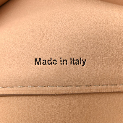 Delvaux Calfskin Tri-Color Givry With Me Polo Vegetal Ivory 8 of 11