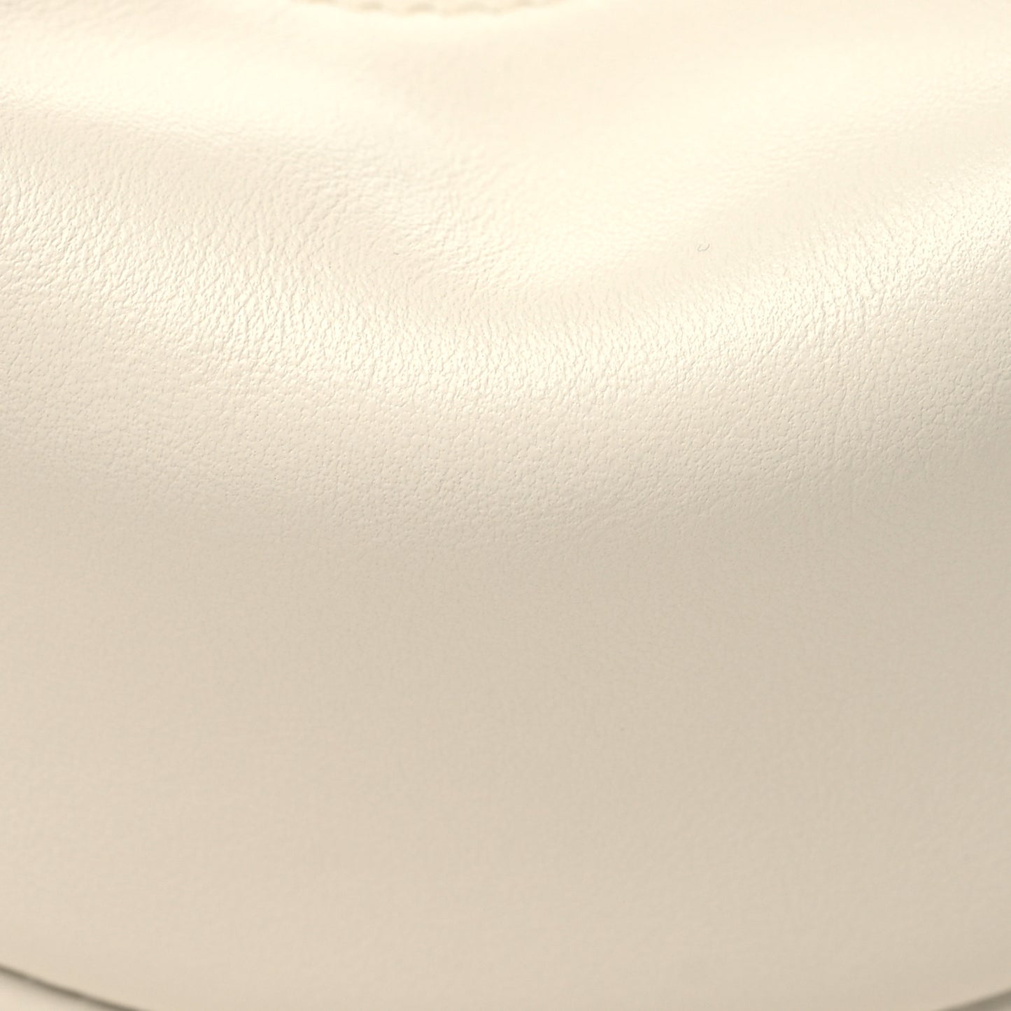 Vitello Grace Matte Nano Fendigraphy Hobo Charm White Ice
