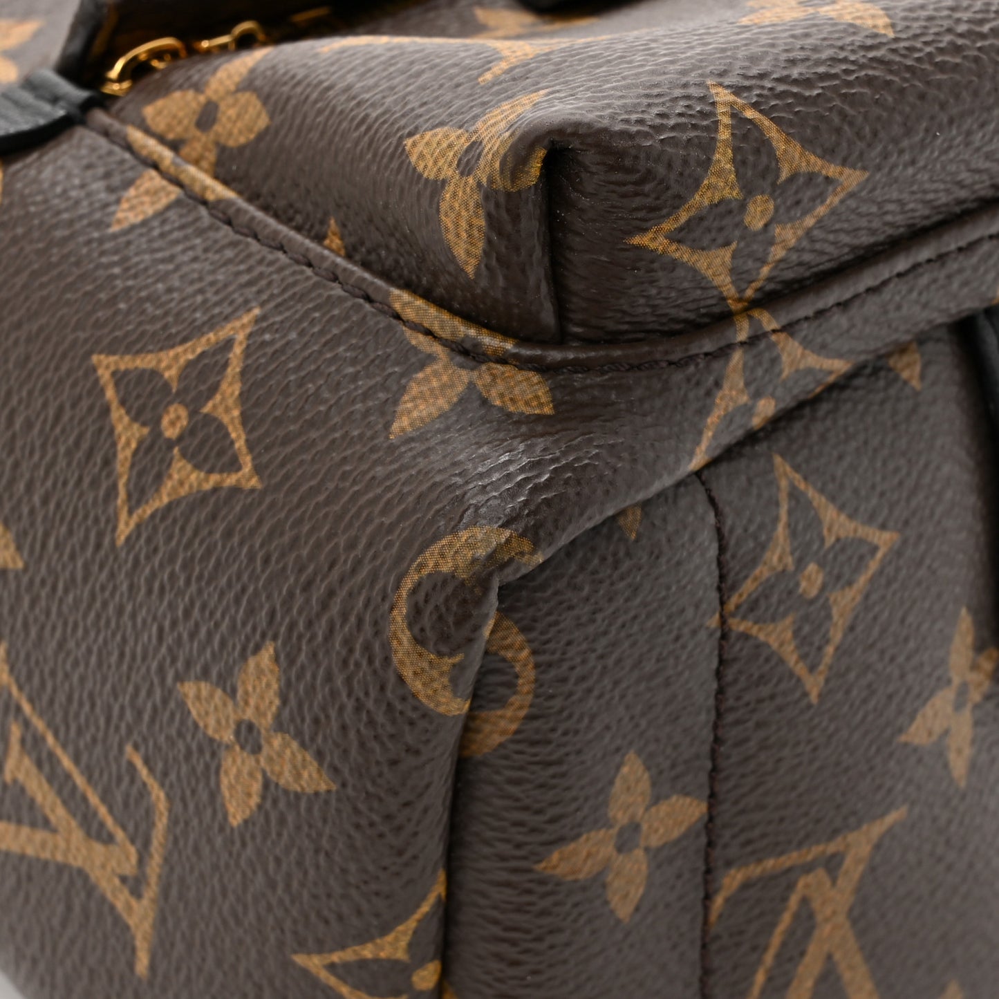Monogram Palm Springs Backpack Mini
