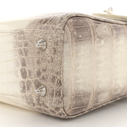 Christian Dior Niloticus Crocodile Himalaya Crystal Small Lady Dior White 10 of 10