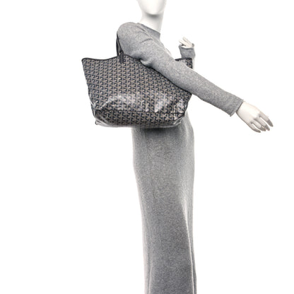 Goyard Goyardine Saint Louis PM Grey 3 of 12