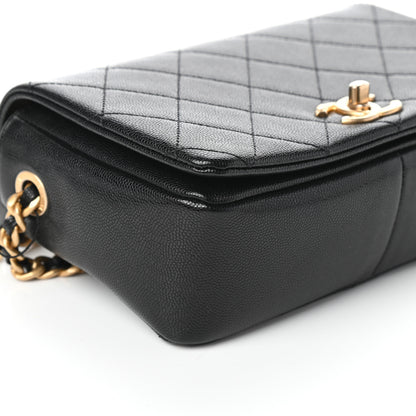 Chanel Caviar Quilted Small Fashion Therapy Flap Bag Black 9 of 10