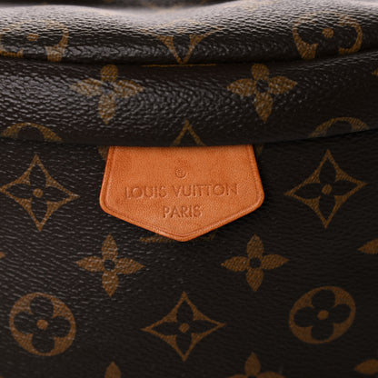 Louis Vuitton Monogram Bumbag 10 of 16