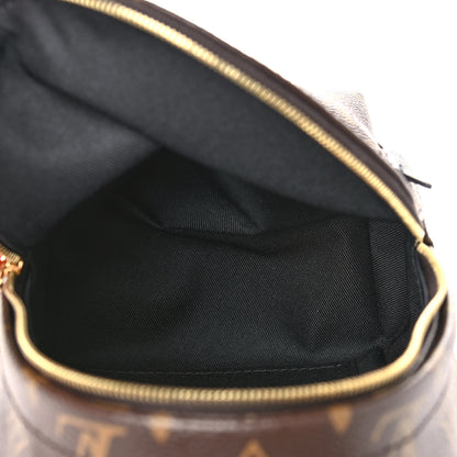Louis Vuitton Monogram Palm Springs Backpack Mini 5 of 9