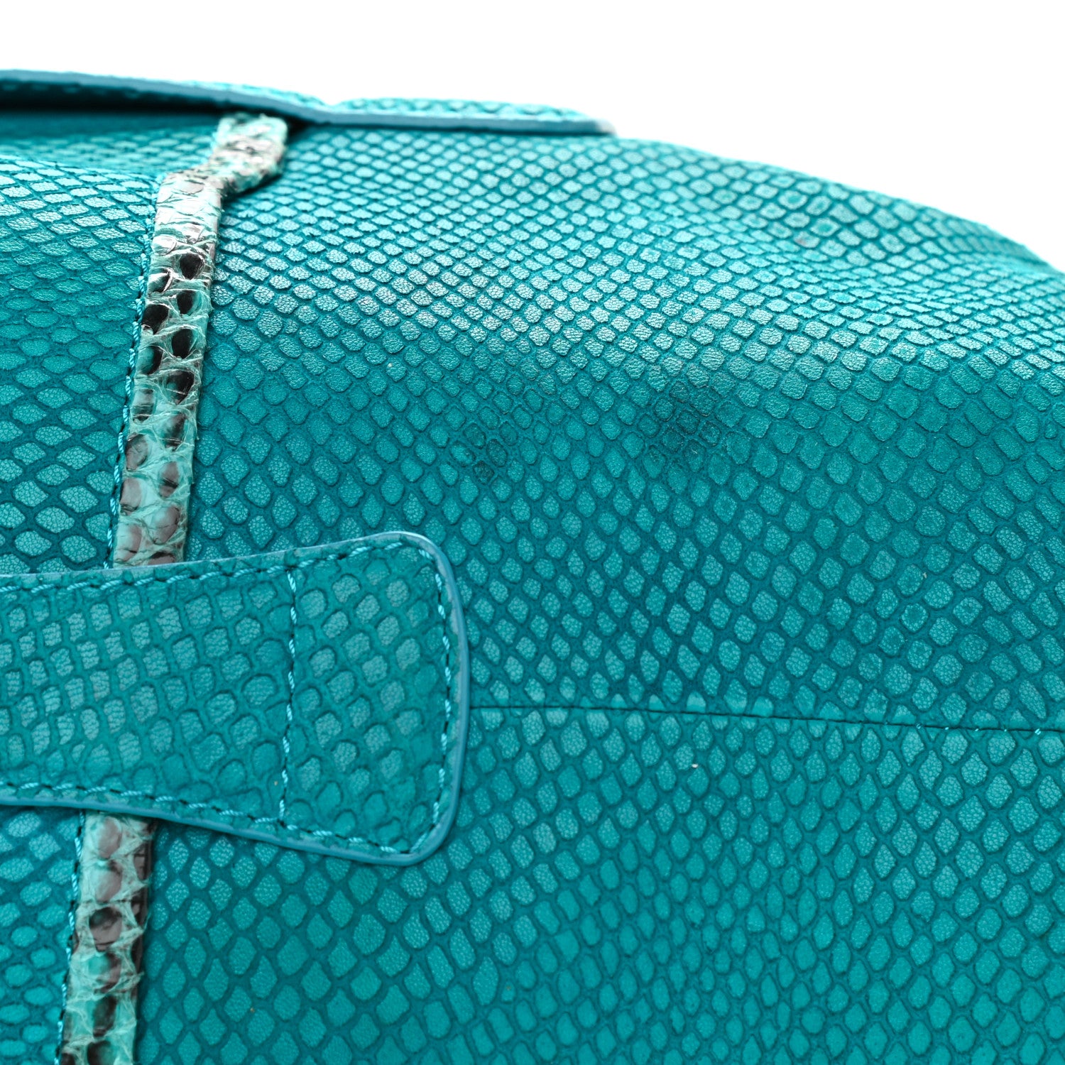 Jimmy Choo Watersnake Ramona Turquoise 10 of 12