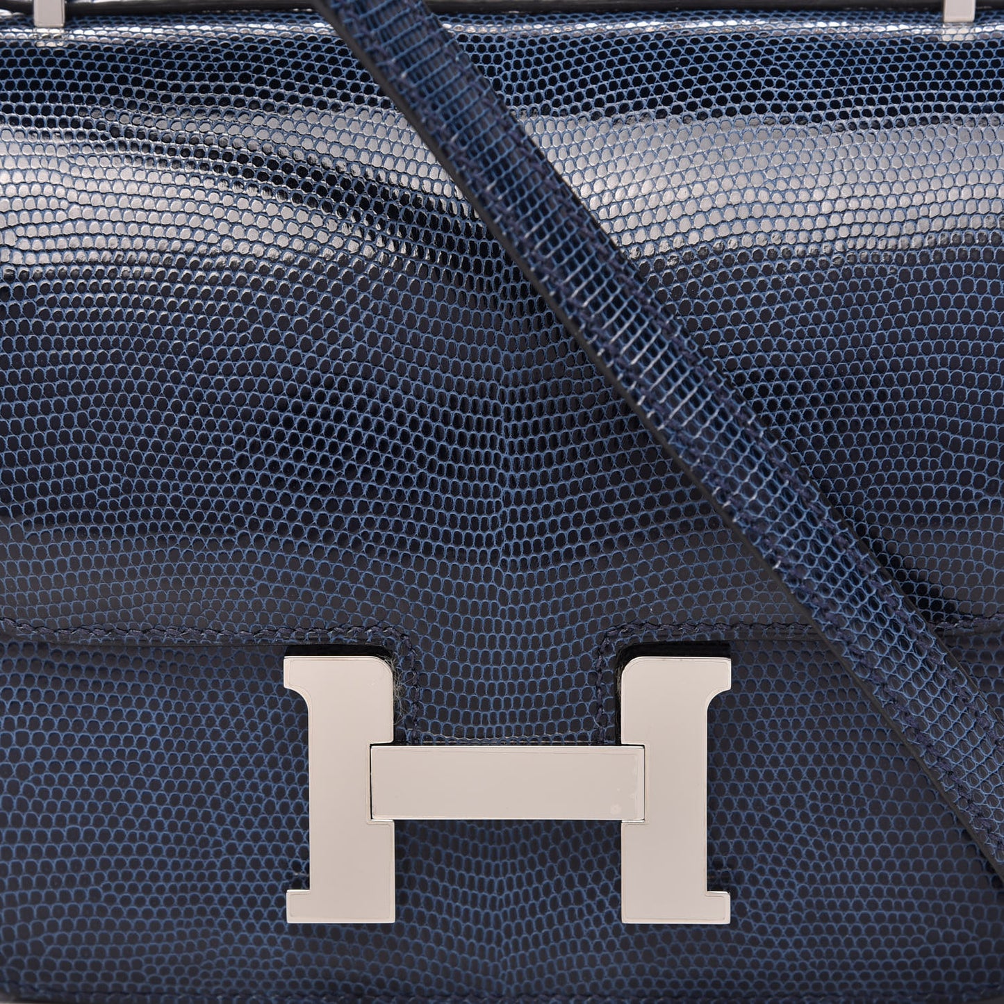 Lizard Constance 18 Bleu de Malte