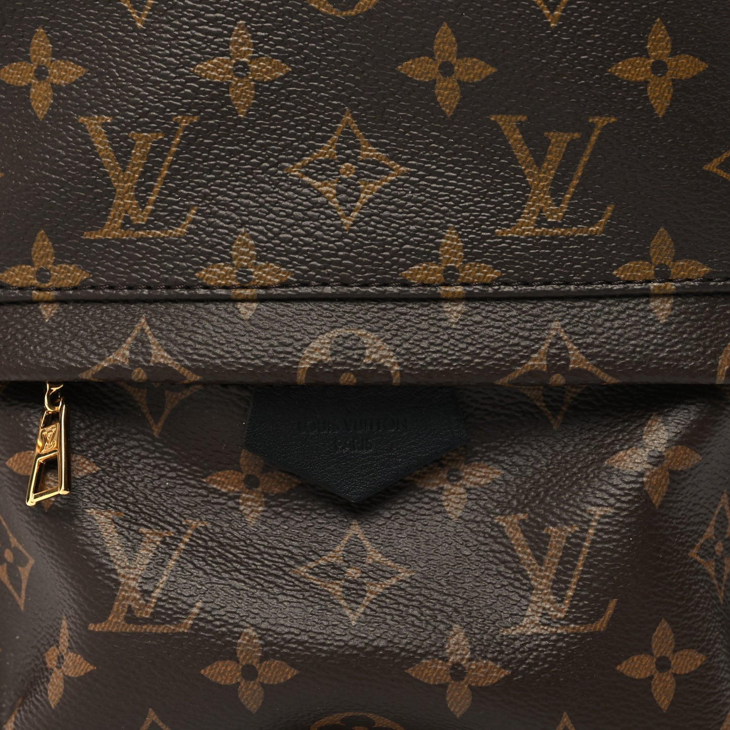 Monogram Palm Springs Backpack PM