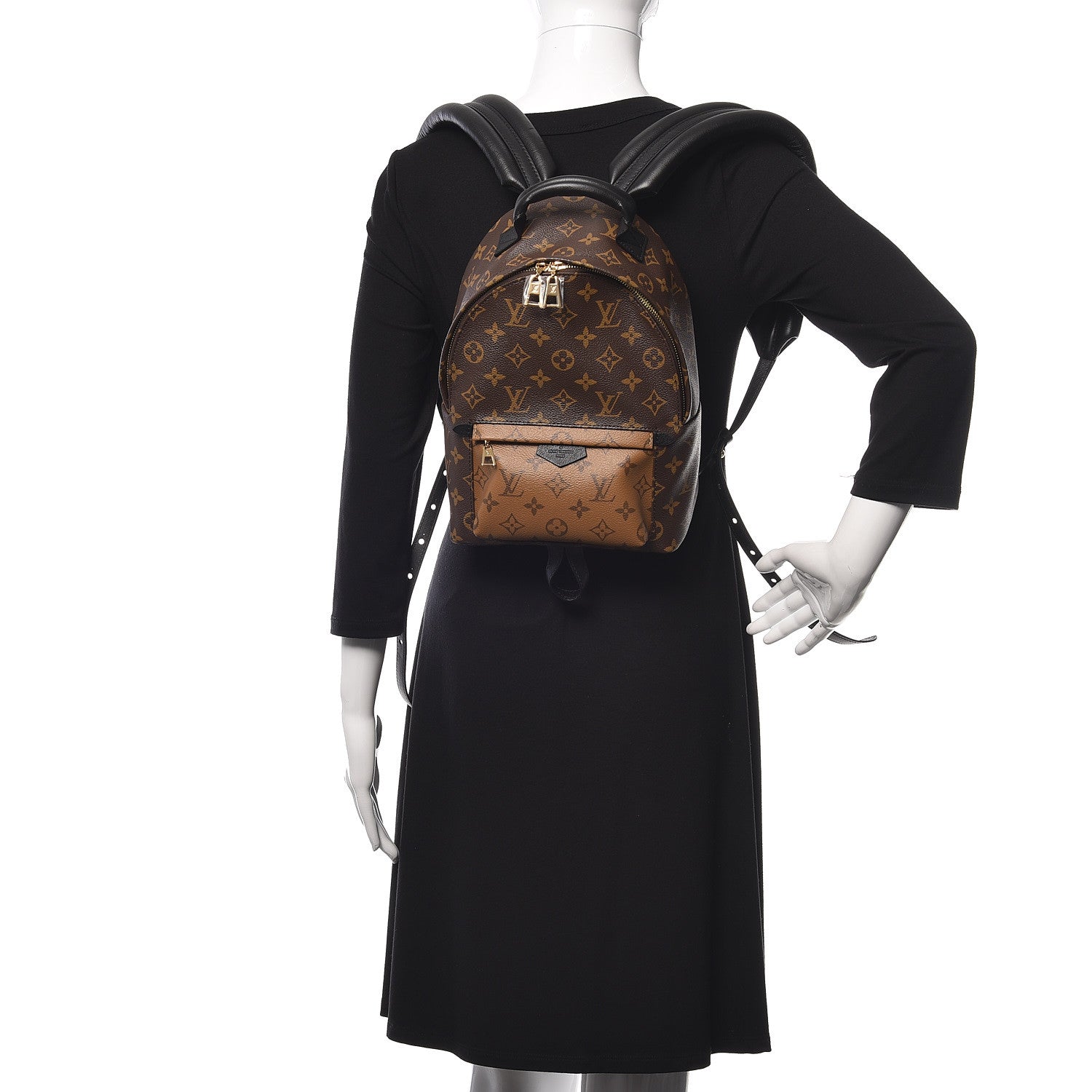 Louis Vuitton Reverse Monogram Palm Springs Backpack PM 2 of 9