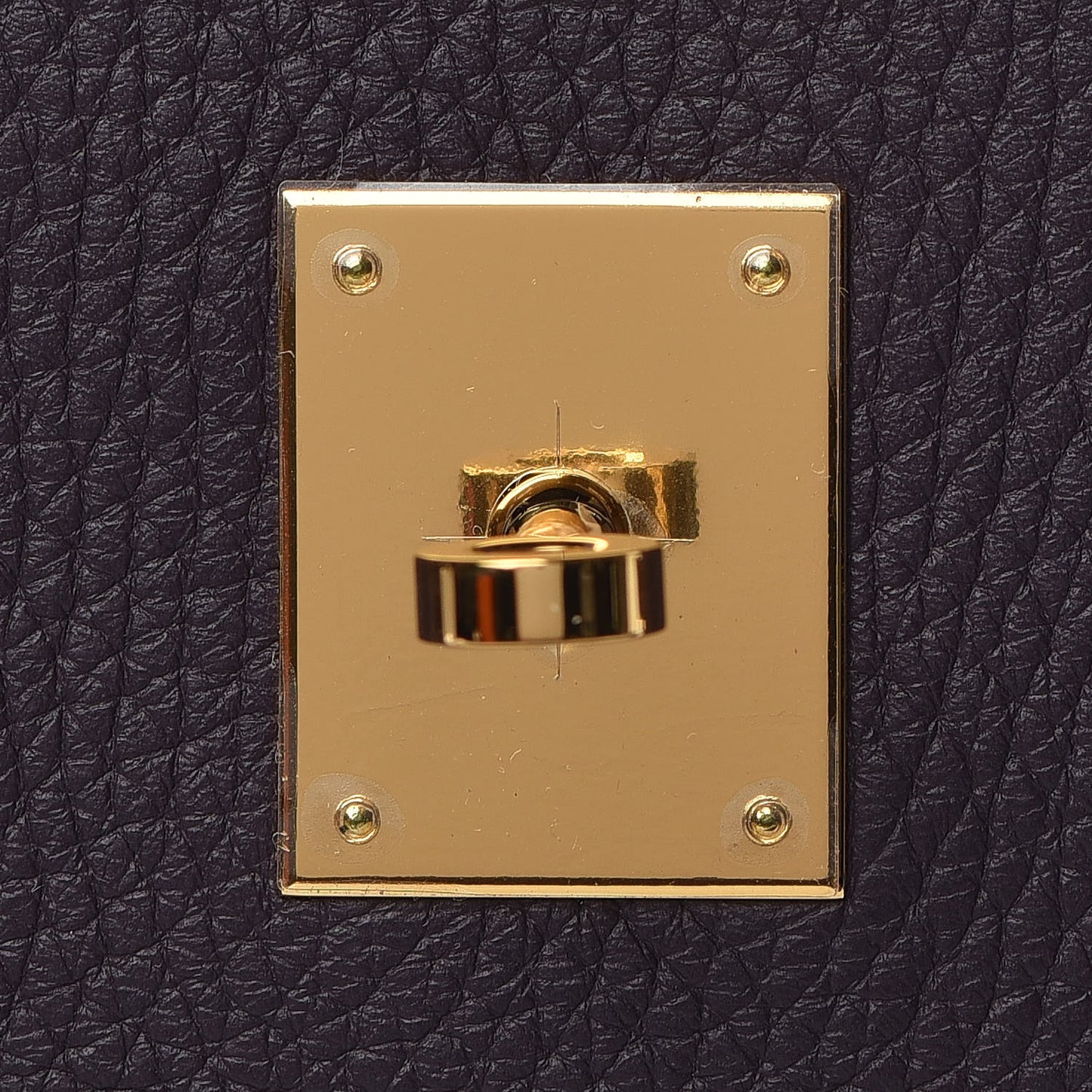 Taurillon Clemence Birkin 30 Raisin