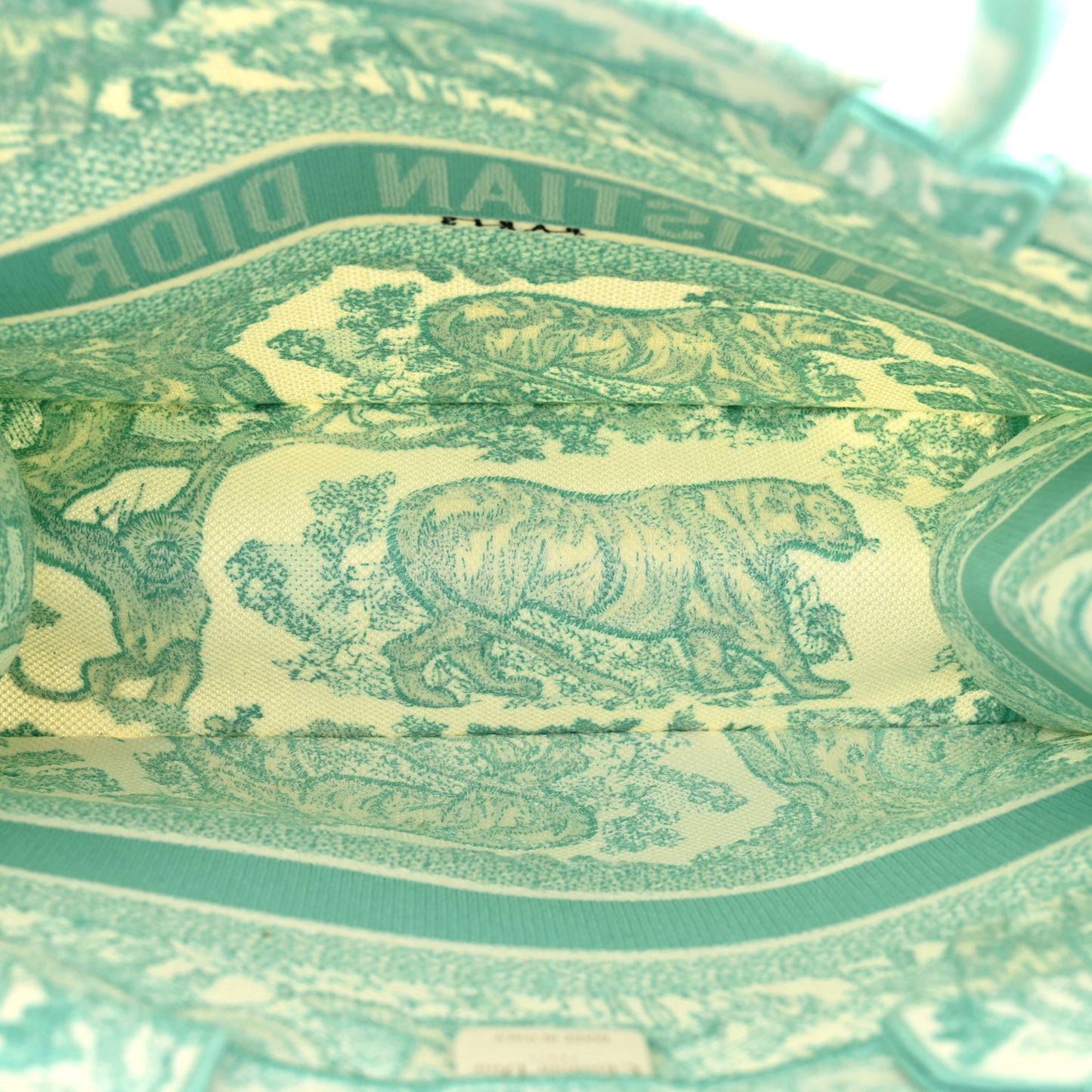 Canvas Embroidered Medium Dioriviera Toile De Jouy Book Tote Aquamarina