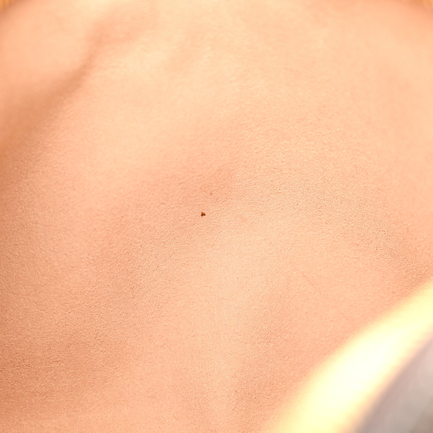 GG Supreme Monogram Web Small Ophidia Belt Bag 95 38 Dark Brown