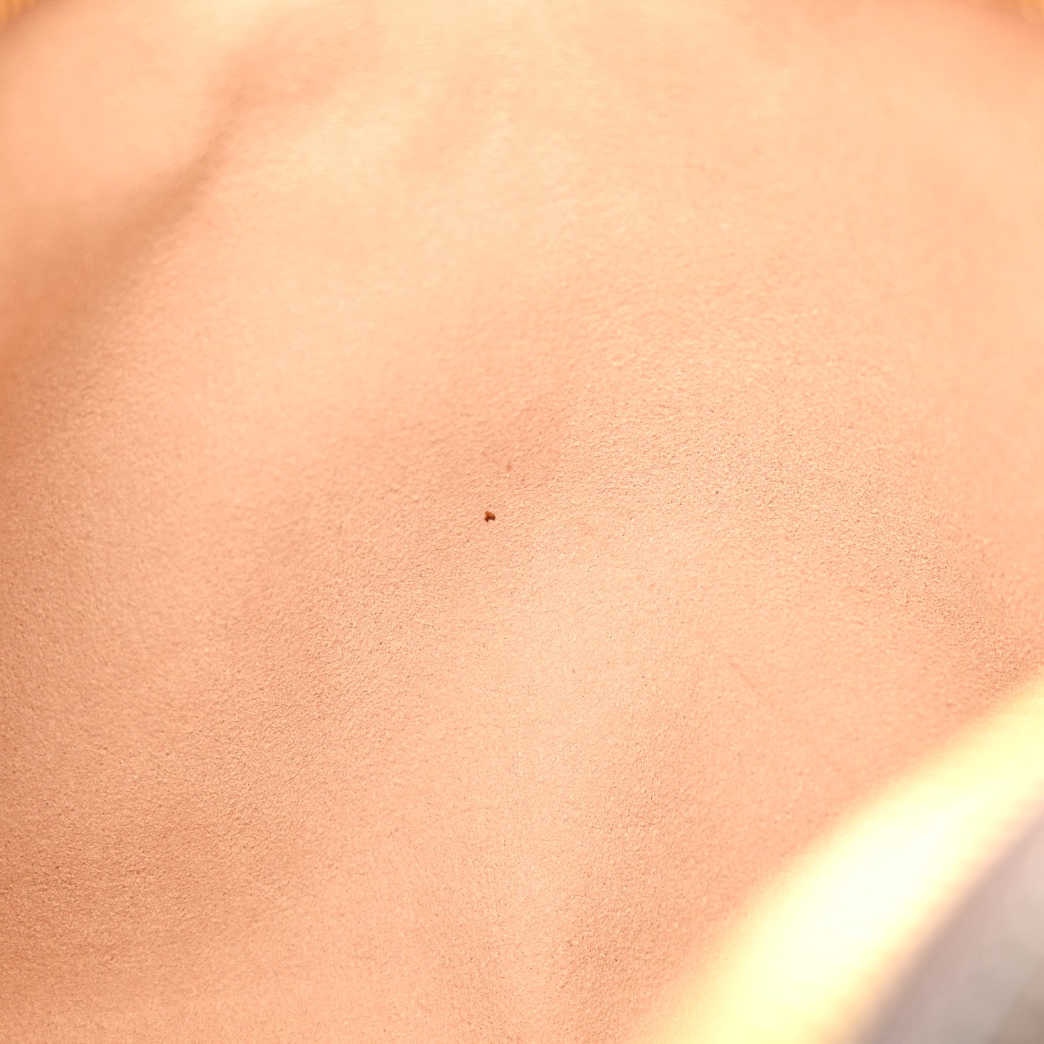 Gucci GG Supreme Monogram Web Small Ophidia Belt Bag 95 38 Dark Brown 11 of 12