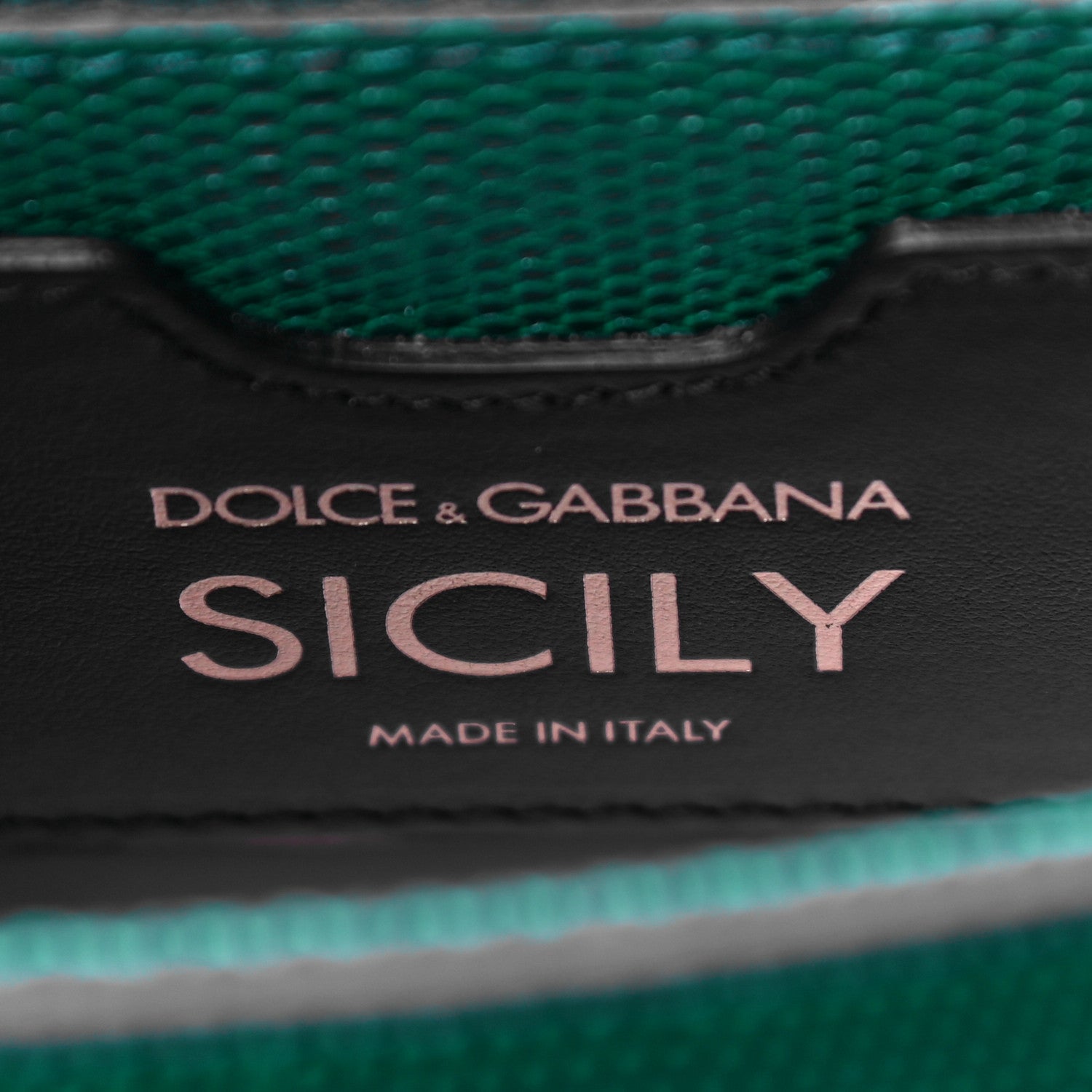 Dolce & Gabbana Stampa Iguana Crystal Medium Miss Sicily Satchel Green 6 of 10