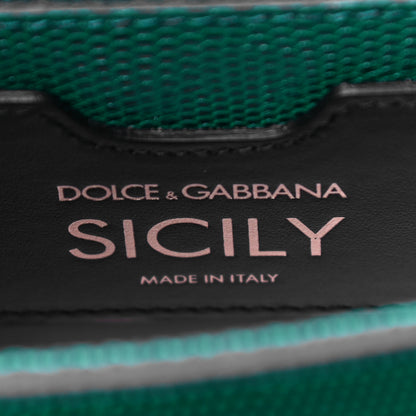 Dolce & Gabbana Stampa Iguana Crystal Medium Miss Sicily Satchel Green 6 of 10