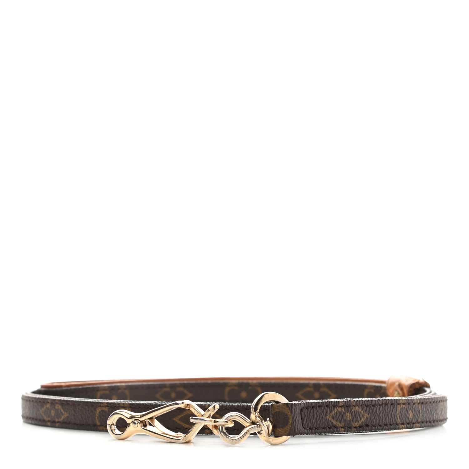 Louis Vuitton Monogram Baxter Dog Leash MM 1 of 7