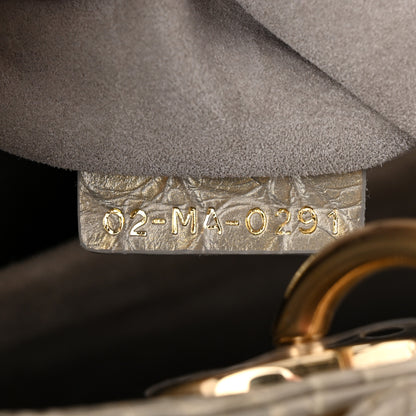 Christian Dior Metallic Alligator Medium Lady Dior White Grey 7 of 12