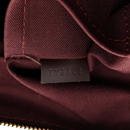 Louis Vuitton Damier Ebene Iena MM 8 of 11