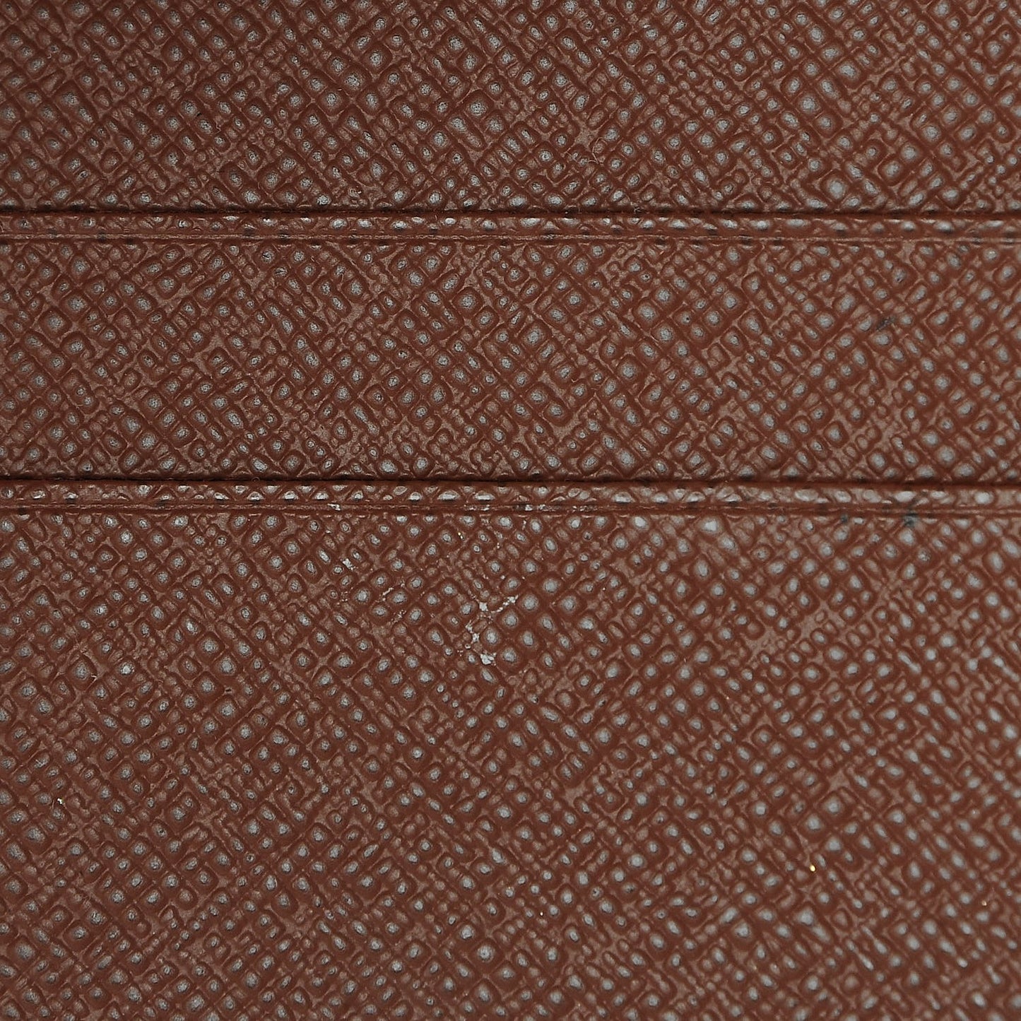 Monogram Insolite Organizer Wallet