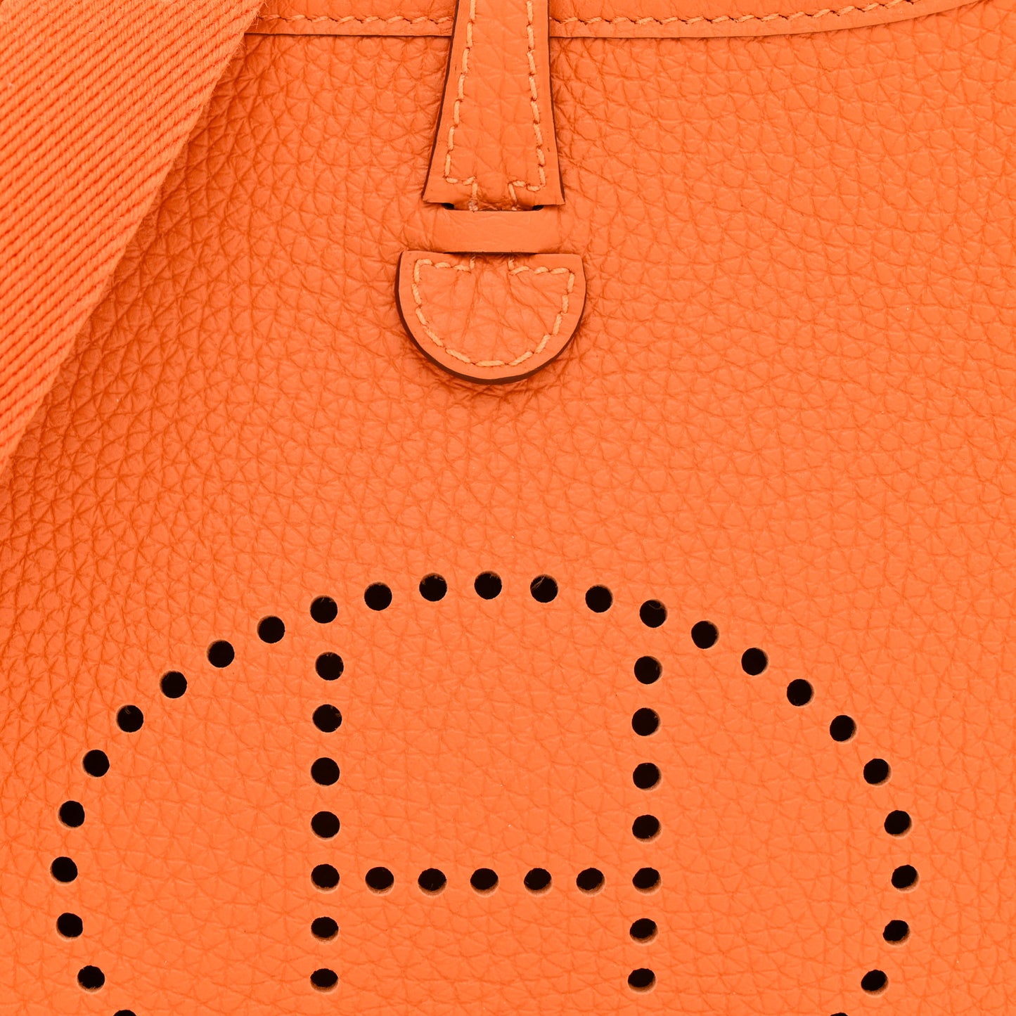 Taurillon Clemence Evelyne TPM Orange