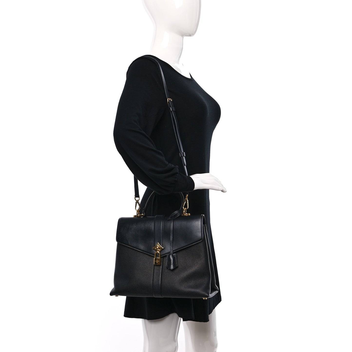 Grained Smooth Calfskin Rose Des Vents MM Black