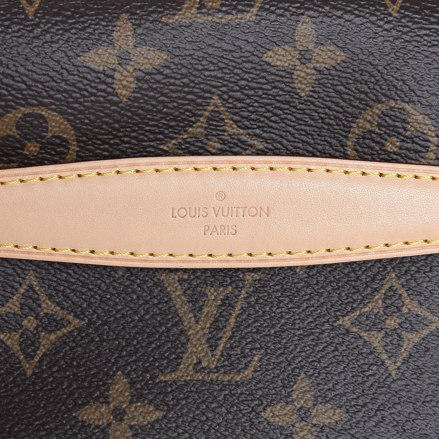Monogram Bumbag