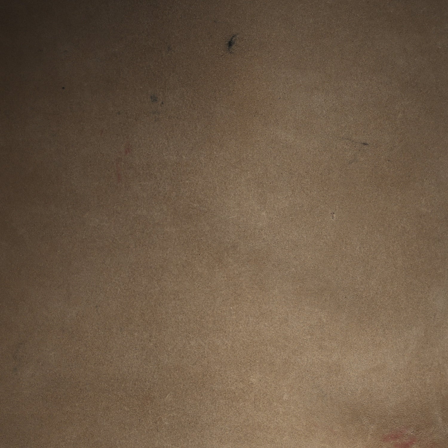 The Row Polished Saddle Calfskin Park Tote Three Cognac 6 of 19