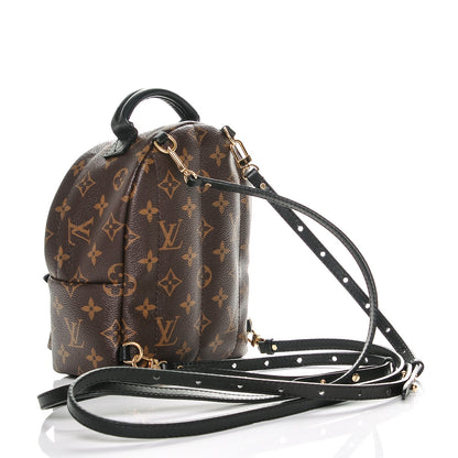 Louis Vuitton Monogram Palm Springs Backpack Mini 3 of 6