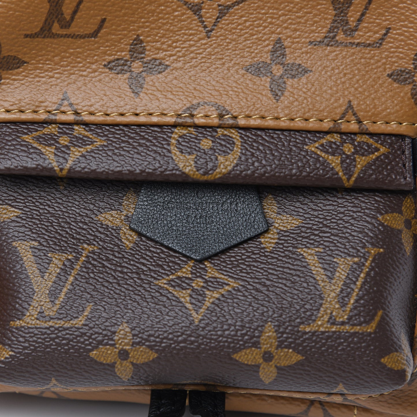 Reverse Monogram Palm Springs Backpack Mini