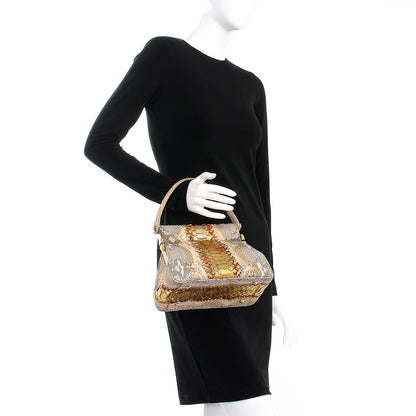 Christian Dior Python Babe Frame Bag 3 of 14