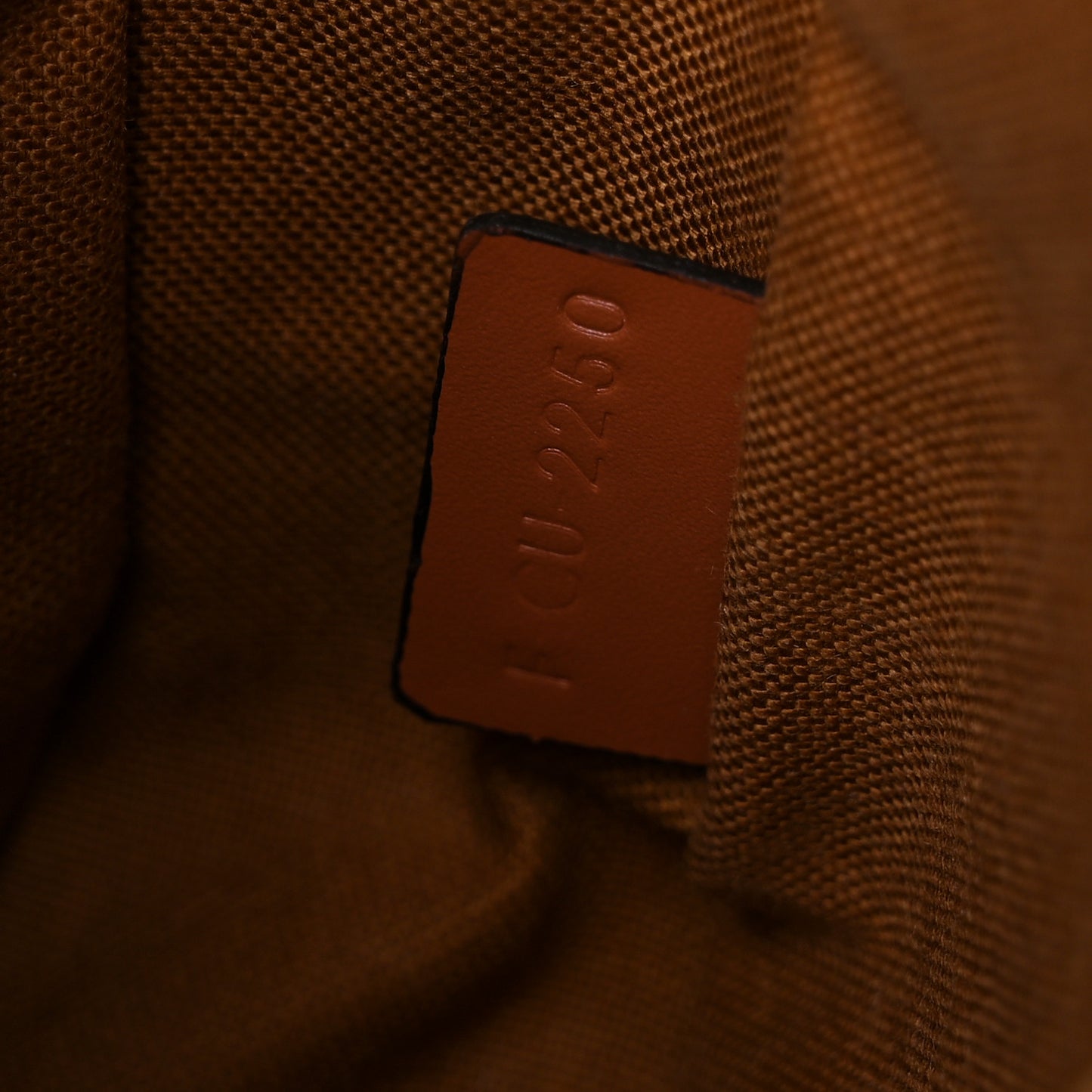 Triomphe Canvas Paris Small Camera Bag Tan