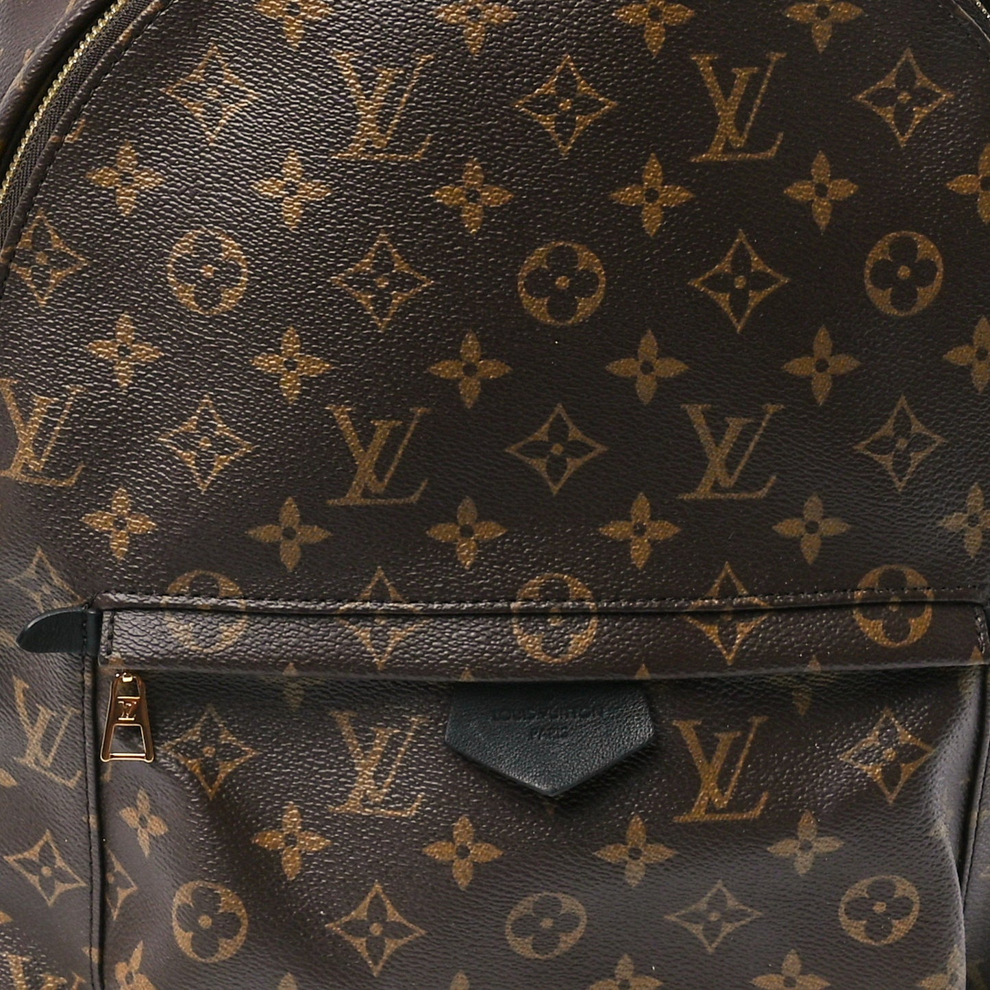 Monogram Palm Springs Backpack MM