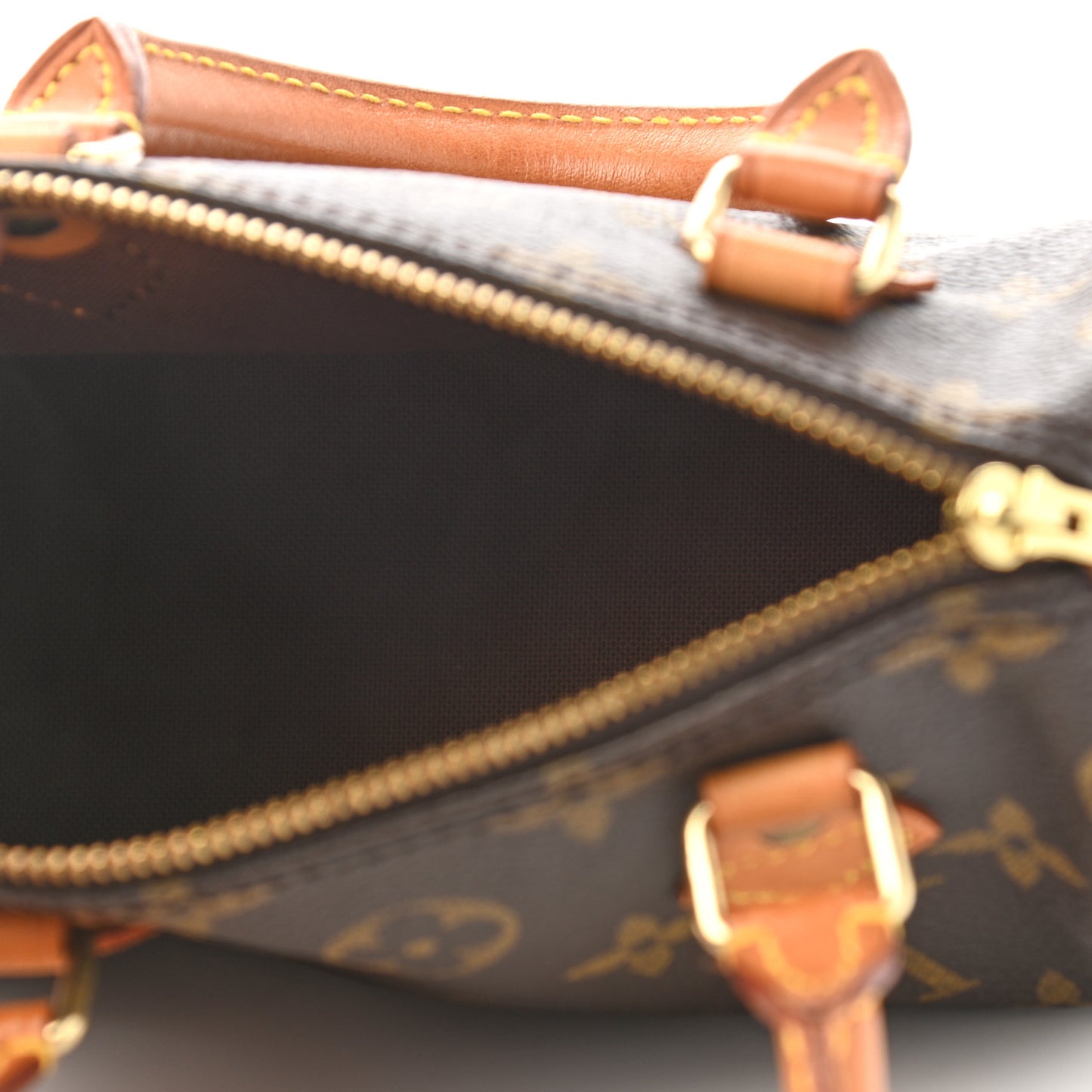 Monogram Mini Sac HL Speedy