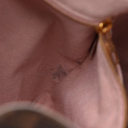 Louis Vuitton Damier Ebene Caissa Hobo Rose Ballerine 10 of 10