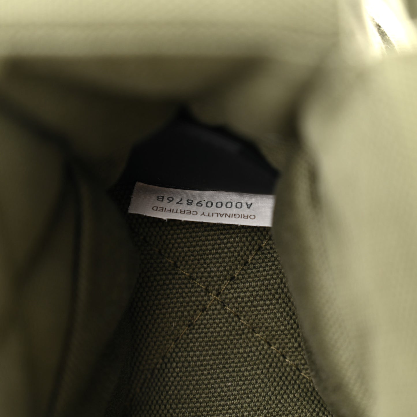 Canvas Intrecciato Padded Tech Cassette Belt Bag Crocodile
